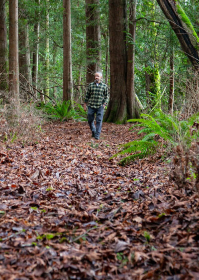 forest-path